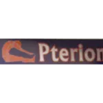 Fisioterapia Pterion