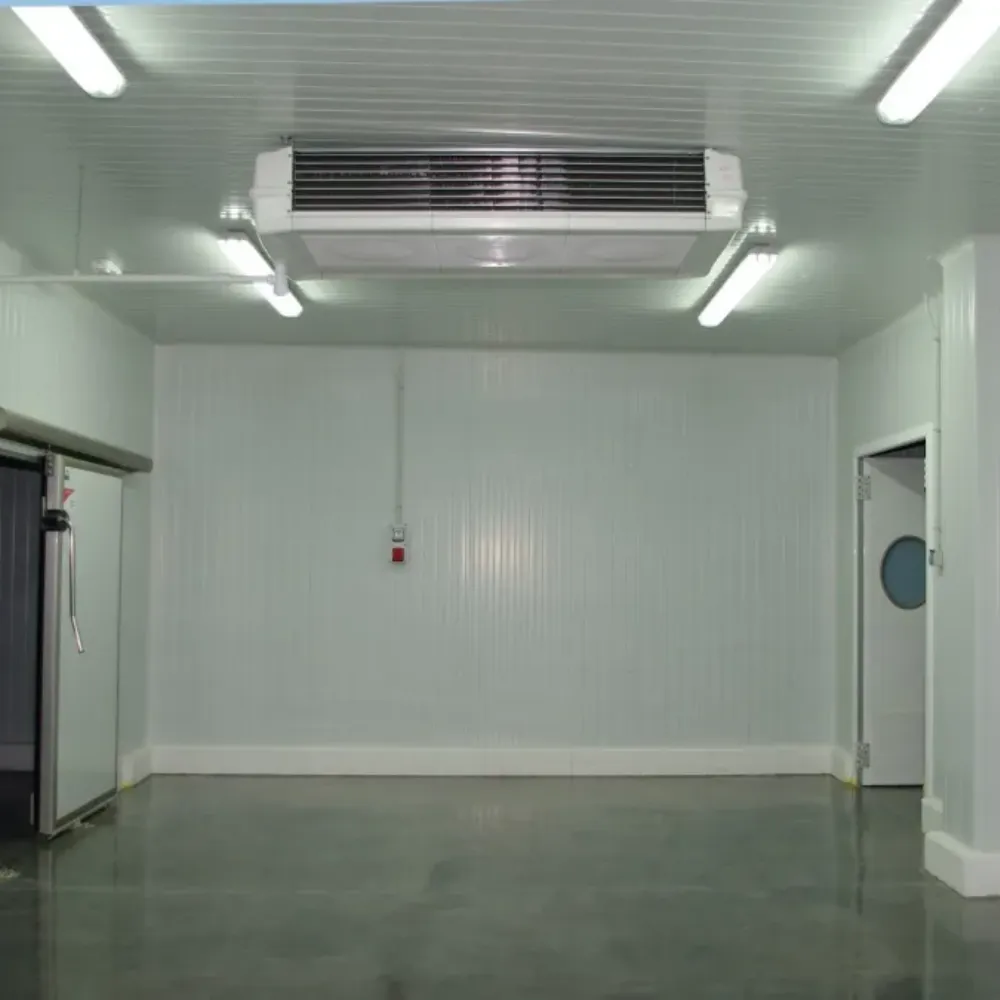 Sala de Maduración Sala de Maduración